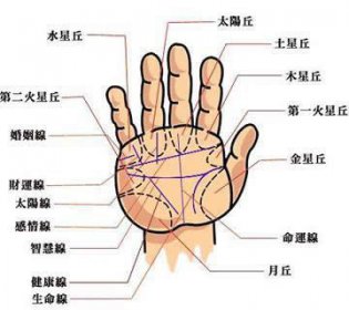 短命人的手相是什么樣子的 典型的短命手相 1
