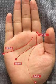 短命人的手相是什么樣子的 典型的短命手相 4