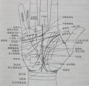 短命人的手相是什么樣子的 典型的短命手相 3