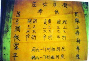 保家仙有幾位仙家都是誰 3