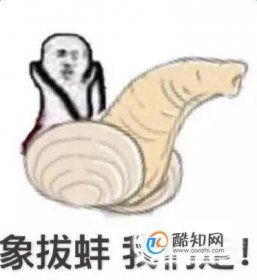 象拔蚌什么梗污 象拔蚌梗的來歷 4