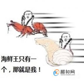 象拔蚌什么梗污 象拔蚌梗的來歷 5