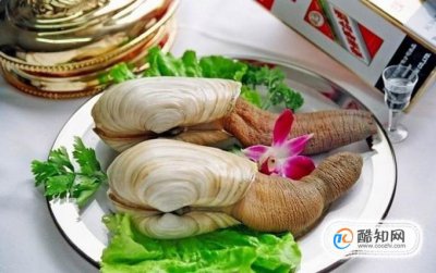 象拔蚌什么梗污 象拔蚌梗的來歷 7