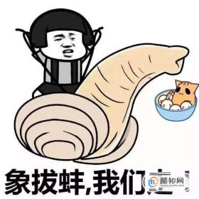 象拔蚌什么梗污 象拔蚌梗的來歷 2