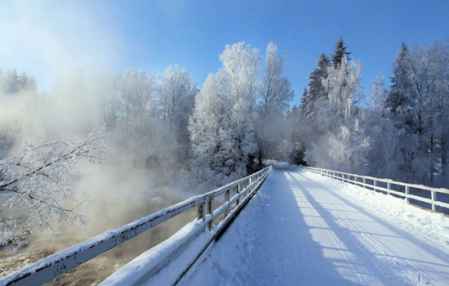 大雪節(jié)氣祝福語大全簡(jiǎn)短 幸?？鞓芬黄鹋苓^來 3