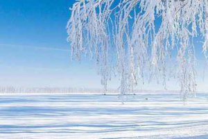 大雪節氣祝福語大全簡短 幸福快樂一起跑過來
