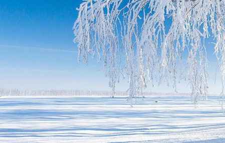 大雪節(jié)氣祝福語大全簡(jiǎn)短 幸福快樂一起跑過來 1