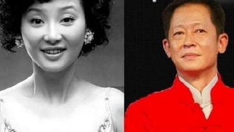 王志文對徐帆有感情嗎 王志文和徐帆分手原因 5