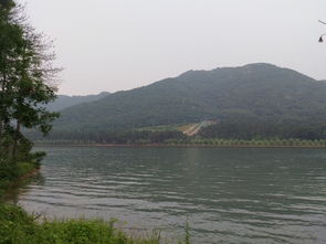 駐馬店老樂山在哪個地方 1