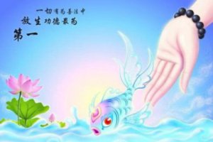 放生什么時(shí)候放生最好 放生啥時(shí)間好