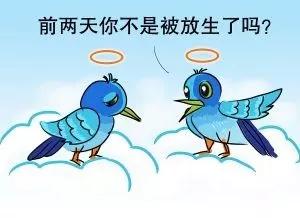 放生什么時候放生最好 放生啥時間好 3