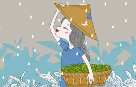 谷雨是什么意思含義 關于谷雨的諺語 4
