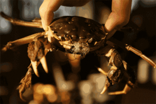草魚刀的薊念什么字 3
