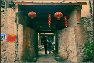 沈萬三的墓地在什么地方 沈萬三為什么被朱元璋殺了 3