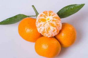 桔子有多少個(gè)品種大全 好吃的十大桔子品種