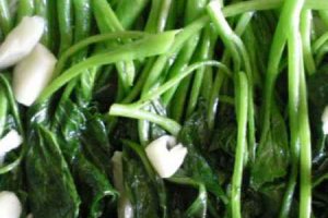 橄欖菜到底是什么菜 新鮮橄欖菜長什么樣子