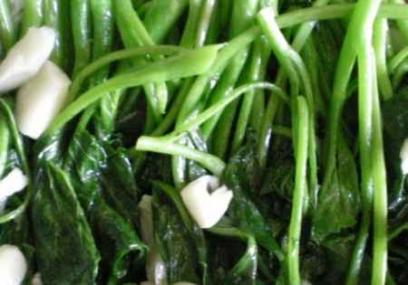 橄欖菜到底是什么菜 新鮮橄欖菜長什么樣子 1