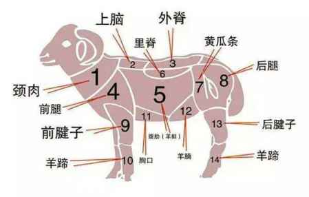 羊上腦是什么部位圖片 羊上腦并不是羊腦 1