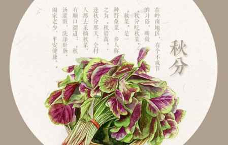 秋分吃什么傳統食物?秋分吃什么比較好 1
