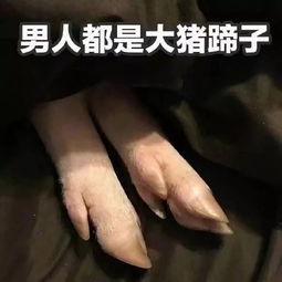 為什么叫男人大豬蹄子什么意思 大豬蹄子的由來 8