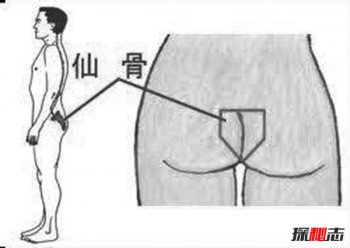人如果有仙緣都有哪些反應 有仙骨的標志是什么 1