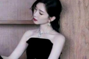 女士法則講的什么 女士法則女性勵志電視劇