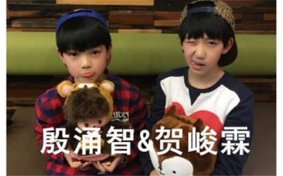 tf家族所有成員名單 tf家族成員個人簡介 1