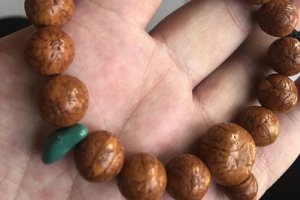 鳳眼菩提尷尬期是什么時候