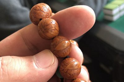 鳳眼菩提尷尬期是什么時候 2