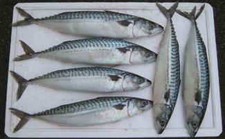 冷凍青占魚有毒嗎 冷凍青占魚怎么燒沒毒 4
