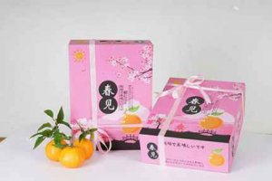 春見耙耙柑好吃不 春見耙耙柑營養價值