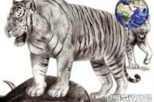 800斤的巨型老虎 發(fā)現(xiàn)體型最大的老虎