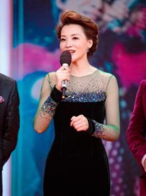 董卿是什么國籍? 董卿還是中國國籍嗎 2