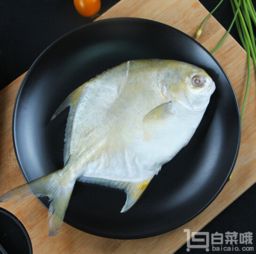 深海金鯧魚刺多嗎 2