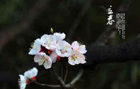 關于立春的古詩全部 立春的古詩詞精選 2