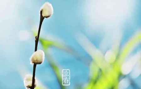 關于立春的古詩全部 立春的古詩詞精選 5