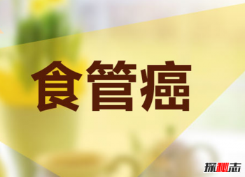 李詠得了什么癌癥 李詠為什么治不好 11