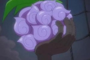 惡魔之樹最強大的果實 惡魔果實暗暗果實