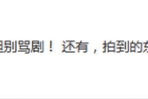 秦俊杰發文否認與楊紫聚餐 可以罵他別罵劇