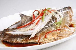 海狼魚(yú)肉好吃嗎 海狼魚(yú)營(yíng)養(yǎng)價(jià)值 3
