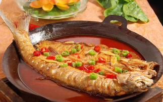 海狼魚(yú)肉好吃嗎 海狼魚(yú)營(yíng)養(yǎng)價(jià)值 1