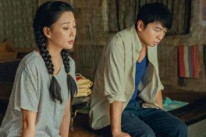 生命樹電視劇雙女主 生命樹殷桃主演