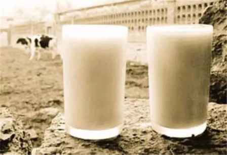乳酸菌飲料有效果嗎 孩子喝什么樣的奶制品 4