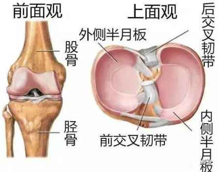 膝關節炎的癥狀有哪些 疼痛難忍只有自己知道 2