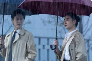 女士的法則角色介紹 講了什么故事