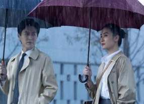 女士的法則角色介紹 講了什么故事 1