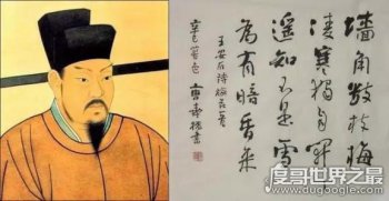 遙知不是雪為有暗香來是什么花 出自哪里 2