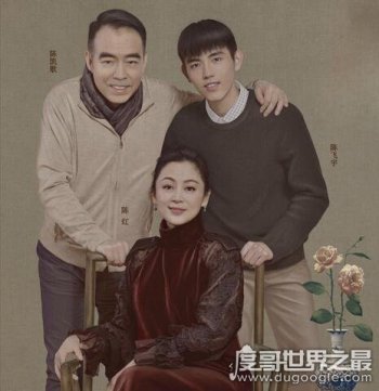 陳凱歌結了多少次婚 和主持人倪萍有過一段情史 5