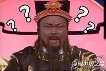 樹新蜜蜂英語是什么 樹新蜜蜂的梗 2