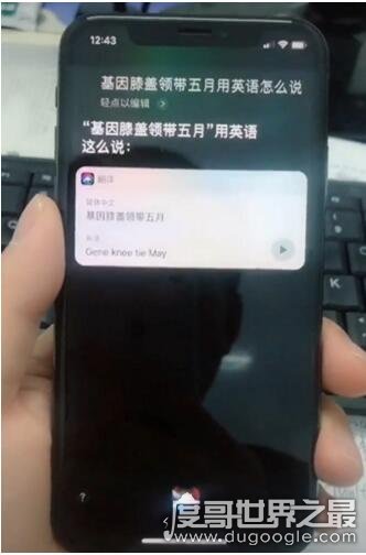 樹新蜜蜂英語是什么 樹新蜜蜂的梗 3